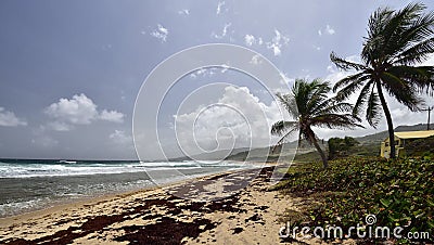 The Walkers Beach in the east-north side of Barbados island Stock Photo