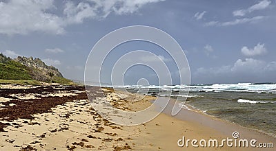 The Walkers Beach in the east-north side of Barbados island Stock Photo
