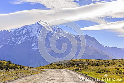 Walking alone Stock Photo