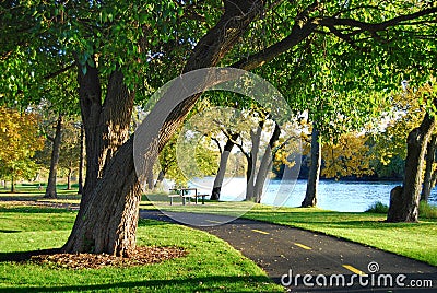 Walking Bike Path in the Park Stock Photo