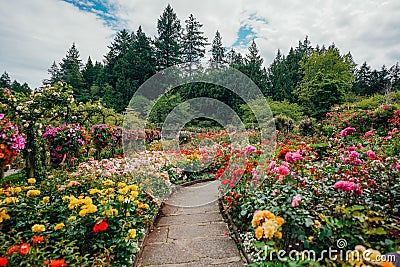 Walking through Butchart Garden Editorial Stock Photo