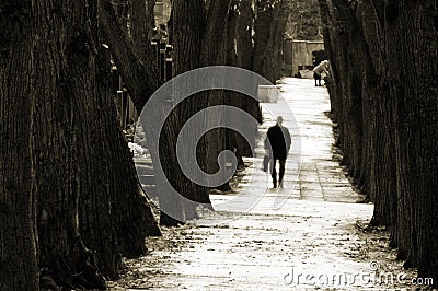 Walking on cemetery Stock Photo