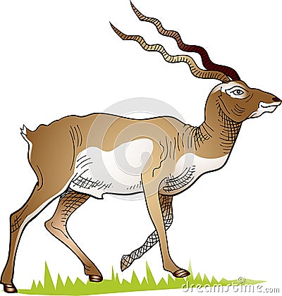 Walking deer on the meadow Vector Illustration