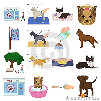 Walking with a dog, a vet clinic, a dog haircut, a puppy bathing, feeding a pet. Vet clinic and pet care set collection Vector Illustration