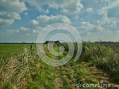 Walking in the Fenlands Stock Photo