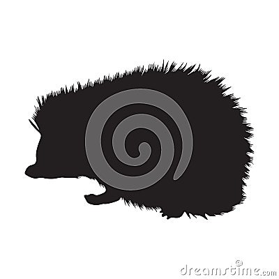 Walking Hedgehog Atelerix AlbiventrisSide View, Silhouette, Found In Map Asian,Europe And Africa Vector Illustration