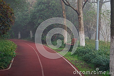 Walking lane in a park Stock Photo