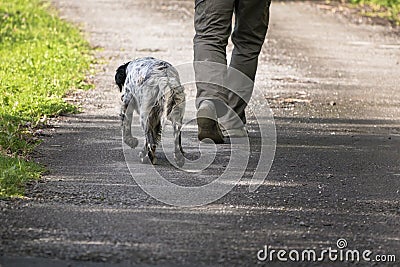 Walking man`s feet and hunting dog back view, recreation concept Stock Photo