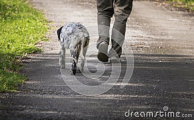 Walking man`s feet and hunting dog back view, recreation concept Stock Photo