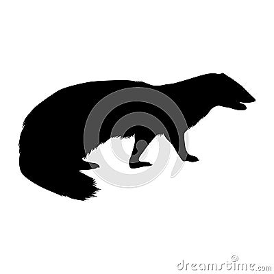 Walking Mongoose Helogale Parvula On a Side View Silhouette Found In Map Of Africa And Asia. Good To Use For Element Print Book Vector Illustration