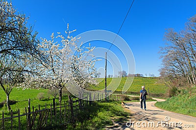 Walking in nature Stock Photo