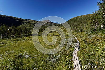 Walking on the Padjelanta Stock Photo