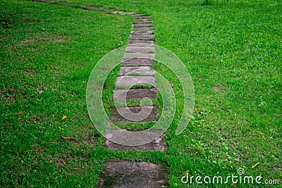 Walking path in the garden with the fresh green grass Stock Photo