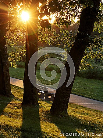 Walking Path and Park Bench Bathed in Gold Sunlight Stock Photo