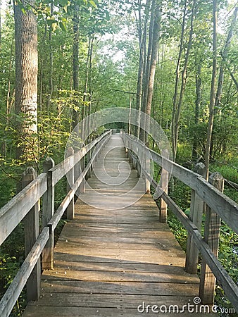 Walking Path of Peace Stock Photo