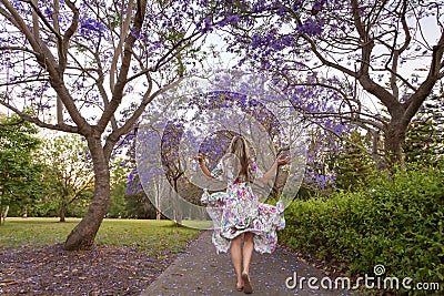 Walking among the rows of purple Jacaranda trees Stock Photo