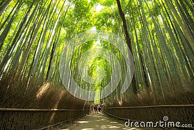 Bamboo forest in Arashiyama, Kyoto, Japan Stock Photo