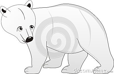 Walking single white color bear Stock Photo