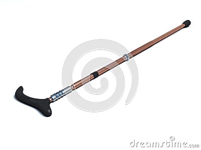 Walking stick Stock Photo