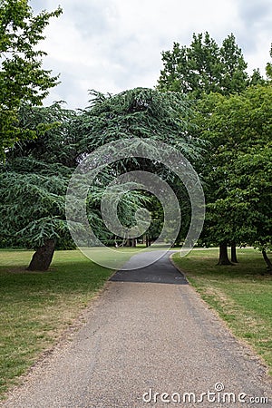 Walking towards the heart of finsbury Park. Beautiful large green trees Editorial Stock Photo