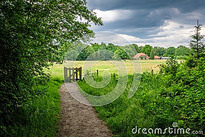 Walking towars a typical Dutch farm in June Twente, Overijssel Stock Photo