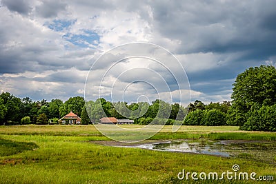Walking towars a typical Dutch farm in June Twente, Overijssel Stock Photo