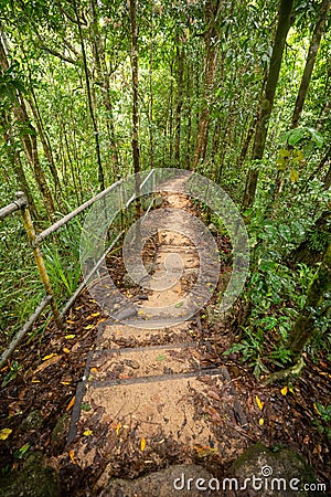 Walking track in the Mossman gorge in Queensland, Australia Stock Photo