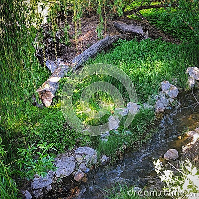 Flowing Water Stream Stock Photo