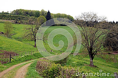 Walking trail in French countryside with beautiful view on green flowering hills, France Stock Photo