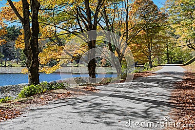 Moses Cone Park Trail Blowing Rock NC Autumn Stock Photo