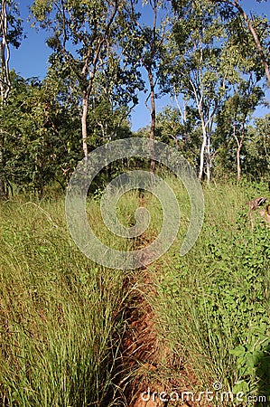 Walking trail in Townsville Stock Photo
