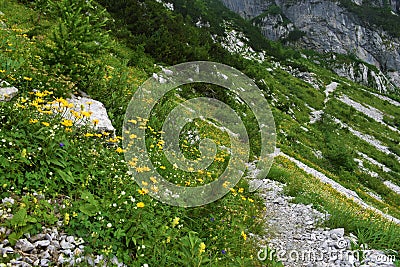 Walking trail under Crna Prst in Julian alps and Triglav national park, Slovenia Stock Photo