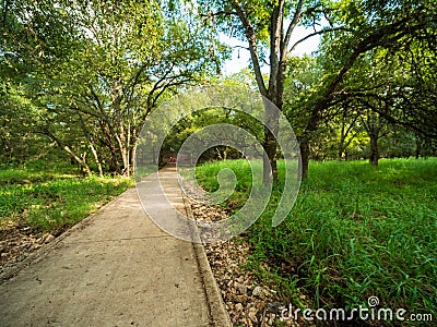 Walking trails in a quiet, serene, peaceful forest park with vibrant green trees and vegetation Stock Photo