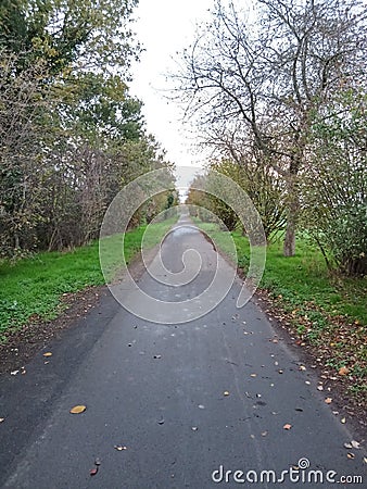 Walking way little road vanishing point Stock Photo