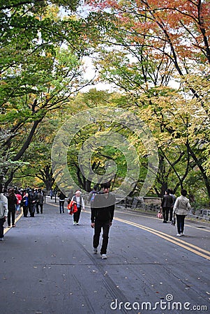 Walking way to the Seoul Tower Editorial Stock Photo