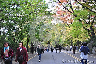 Walking way to the Seoul Tower Editorial Stock Photo