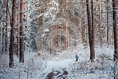 Walking in winter forest Stock Photo