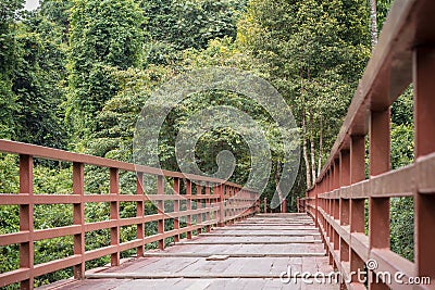 Walking wood bridge in the park Stock Photo