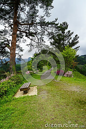 Walkway and benches among green trees and grass in Japanese garden along hilltop with panorama view Stock Photo