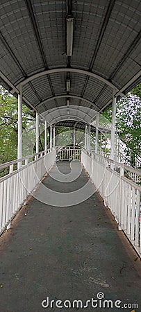 Walkway Corridor Nature in the Morning Stock Photo