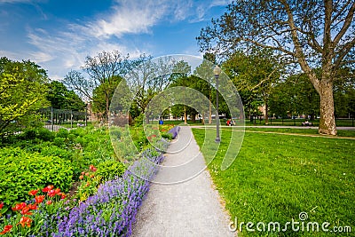 Walkway and gardens at the Allan Gardens, in the Garden District Stock Photo