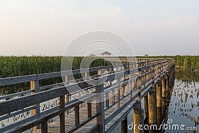 Walkway, lake of Sam Roi Yot Stock Photo