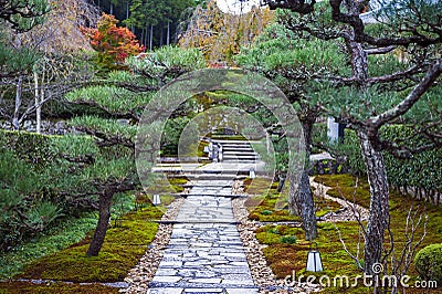 Walkway in landscaped garden through an array of Japanese pine tree to Enkoji Temple in Kyoto, Japan Stock Photo