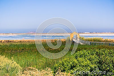 Walkway through the marsh at Alviso Marina County Park, San Jose, California Stock Photo