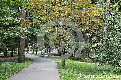 Walkway in the park in the summer Stock Photo