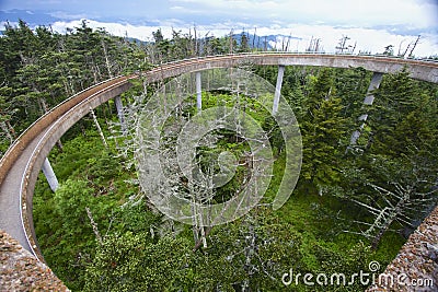 Walkway to the Island in the Sky Clingman's Dome Tower GSMNP Stock Photo