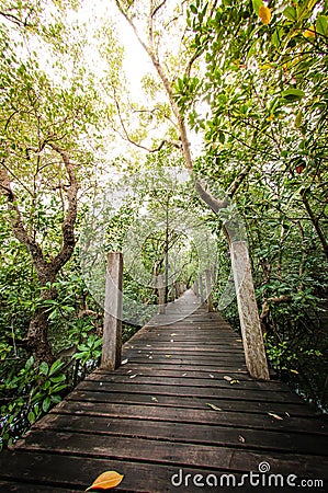 Walkway wood texture a natural The road is green. Stock Photo