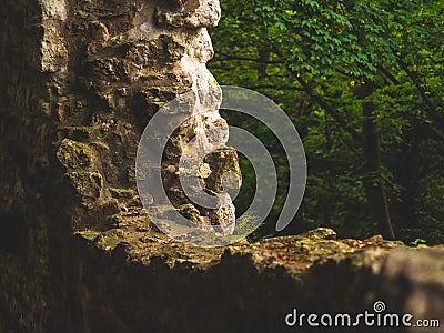 Wall of an ancient ruin in the forest in Europe Stock Photo