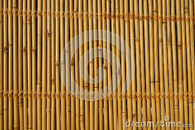 Wall of bamboo. The texture of bamboo. The stems are tightly woven. Stock Photo