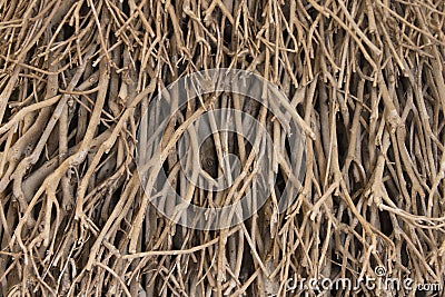 Wall barricade of entangled wood sticks and dried branches wooden background pattern Stock Photo